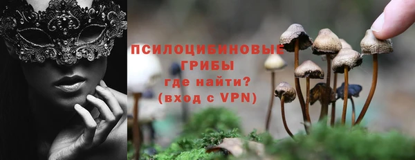 крисы Белоозёрский
