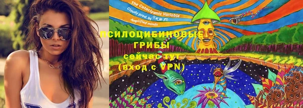 крисы Белоозёрский