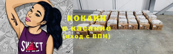 крисы Белокуриха