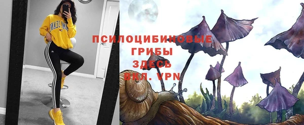 крисы Белоозёрский